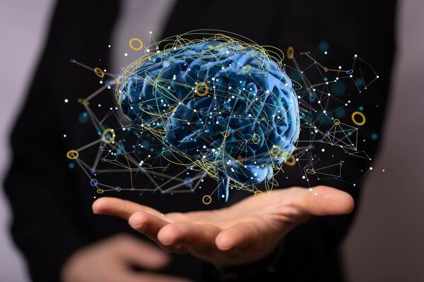 Eirloom vital 100 Article about the brain